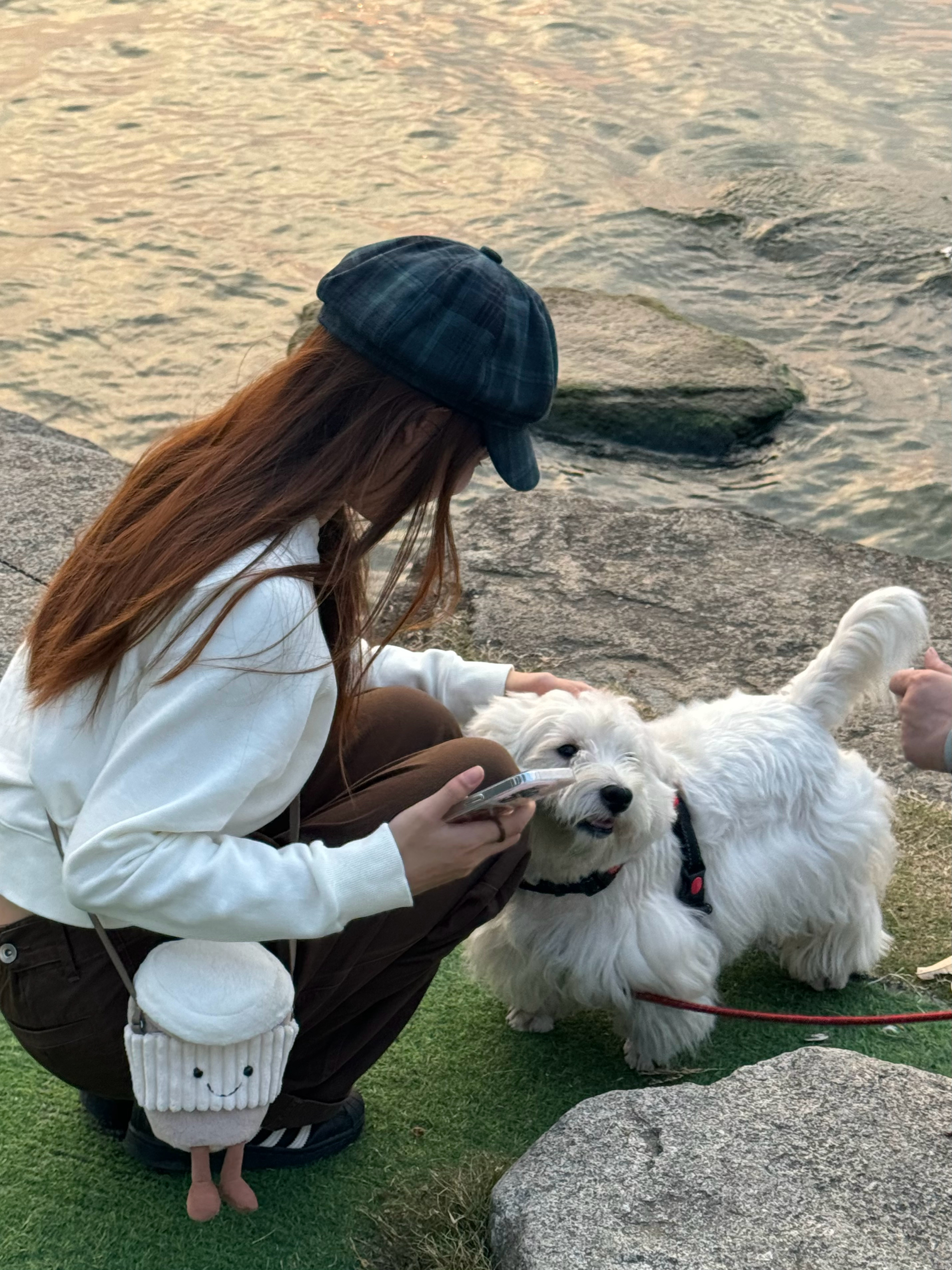 带小狗看一生都看不到的地方