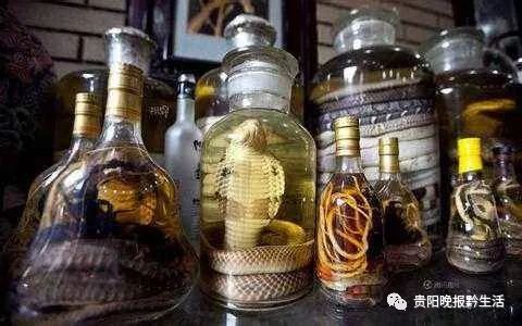 被蛇咬饮药酒险断臂