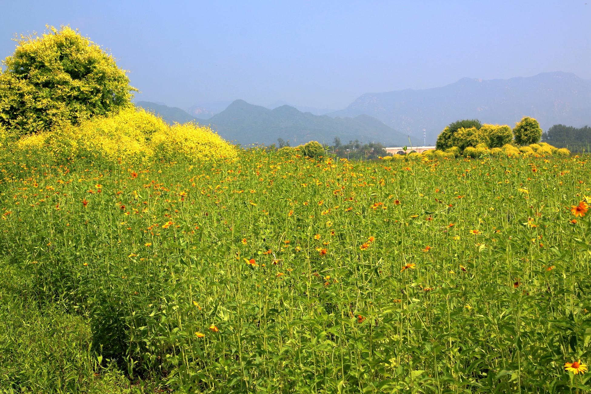 北京白天超30℃ 为何晚间突降冰雹？揭秘天气突变背后的真相！