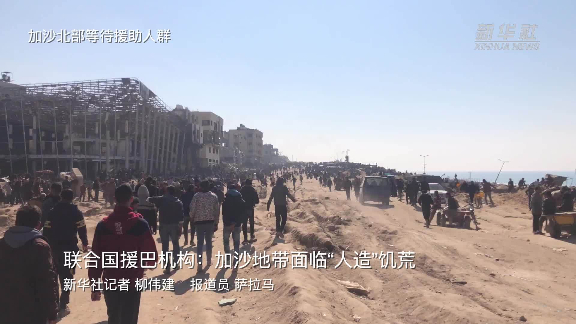 震惊！联合国：加沙面临饥荒风险，数百万人命悬一线！