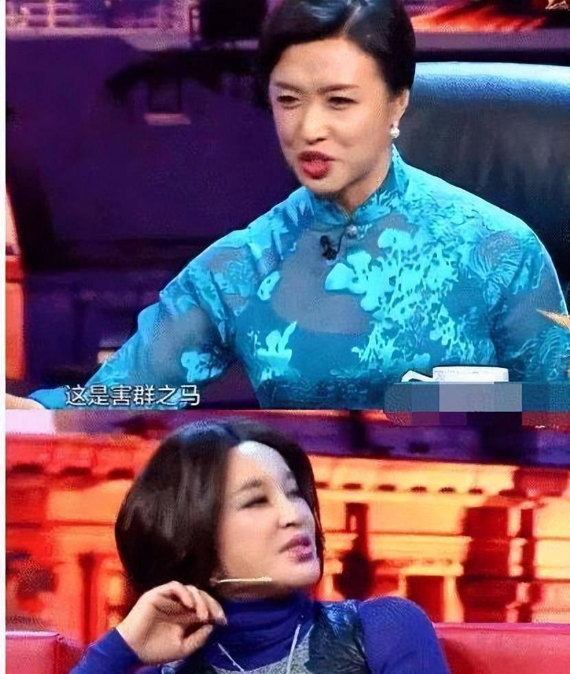 刘晓庆已退出被举报涉偷税公司股东