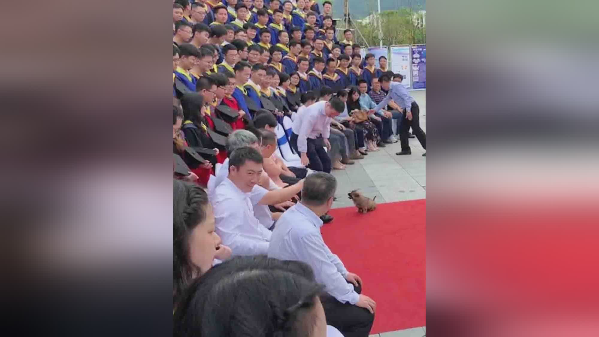 带着我的小狗上台参加毕业典礼