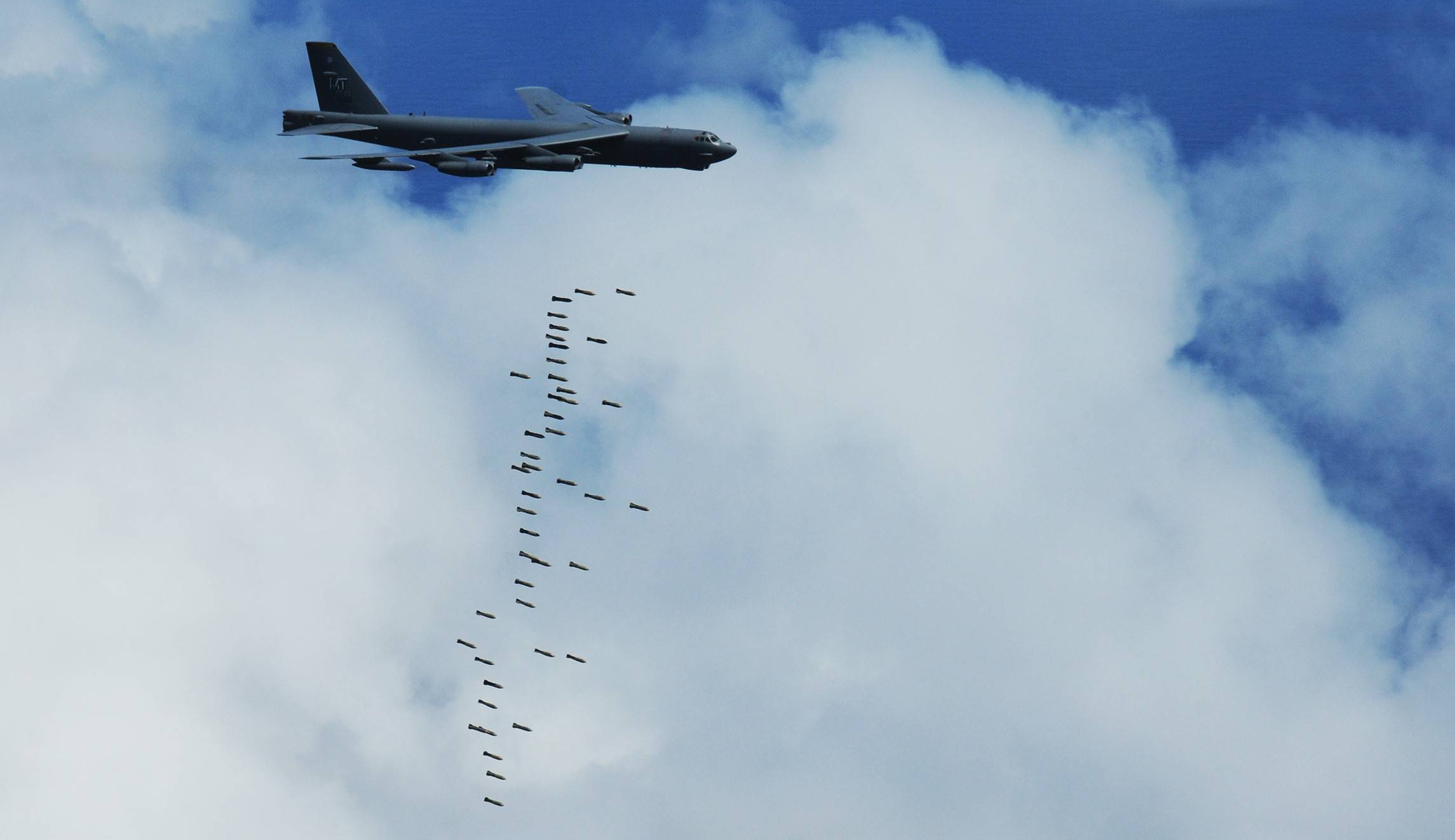 加州50只鸟空中爆炸