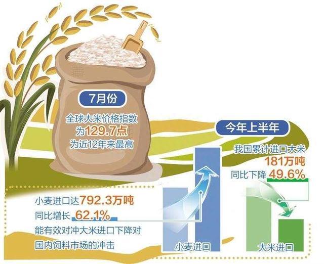 面临严重粮食不安全人口超2.95亿