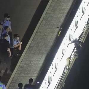 男子翻护栏插队被警察叔叔一把薅回！网友：大快人心！