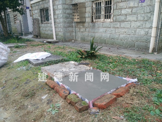 学生掉化粪池 父亲:池上仅木板和砖