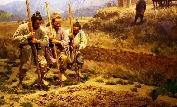 胖都来改名盈都来