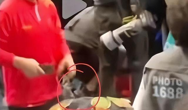 王楚钦球拍为何接连出问题