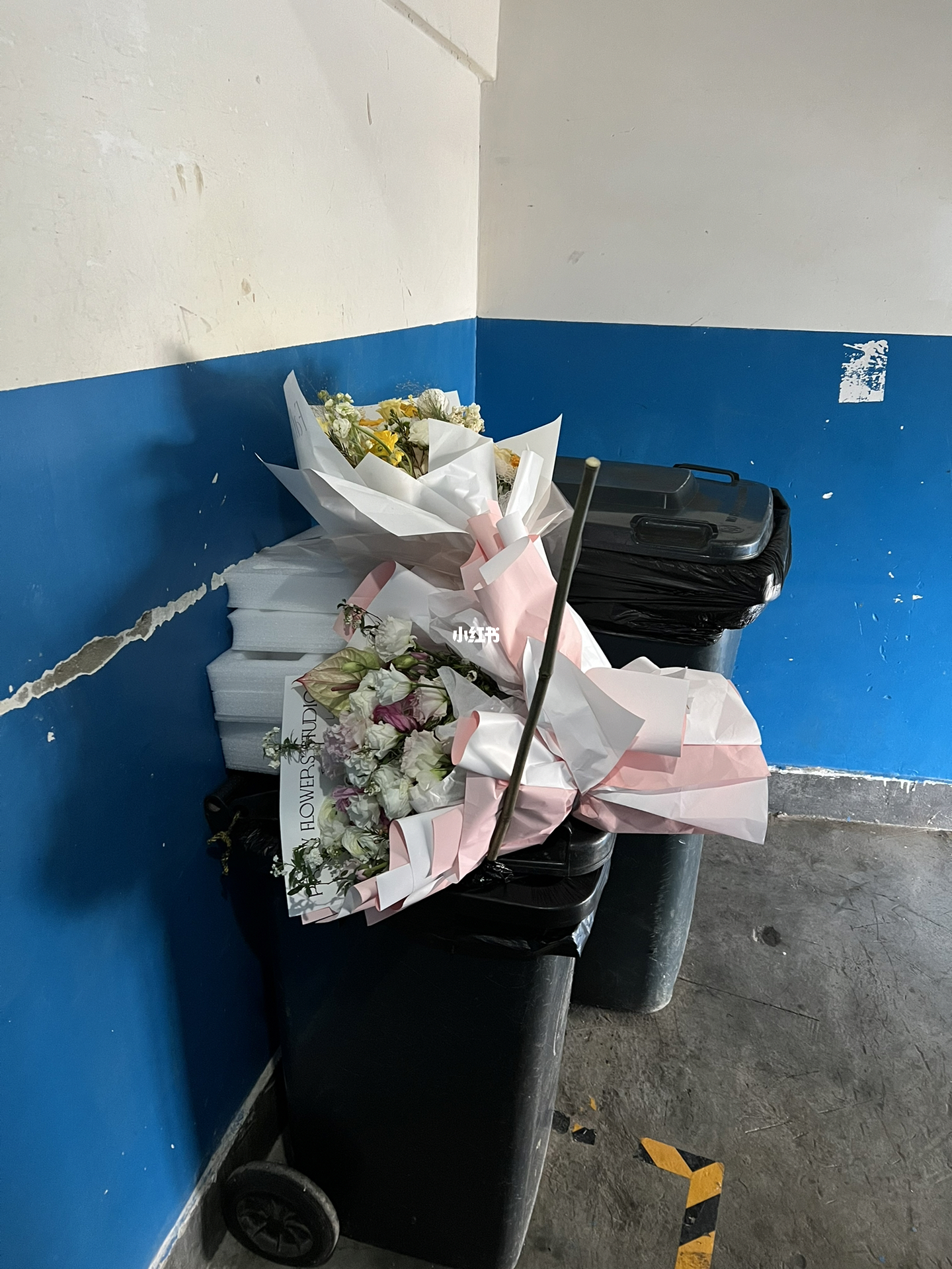 男子捡花被惊呆：是用钱包着的花