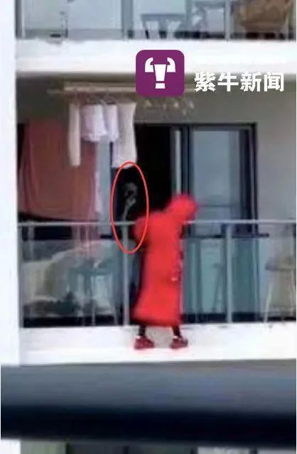 女子坠楼向丈夫喊我还没死快打120