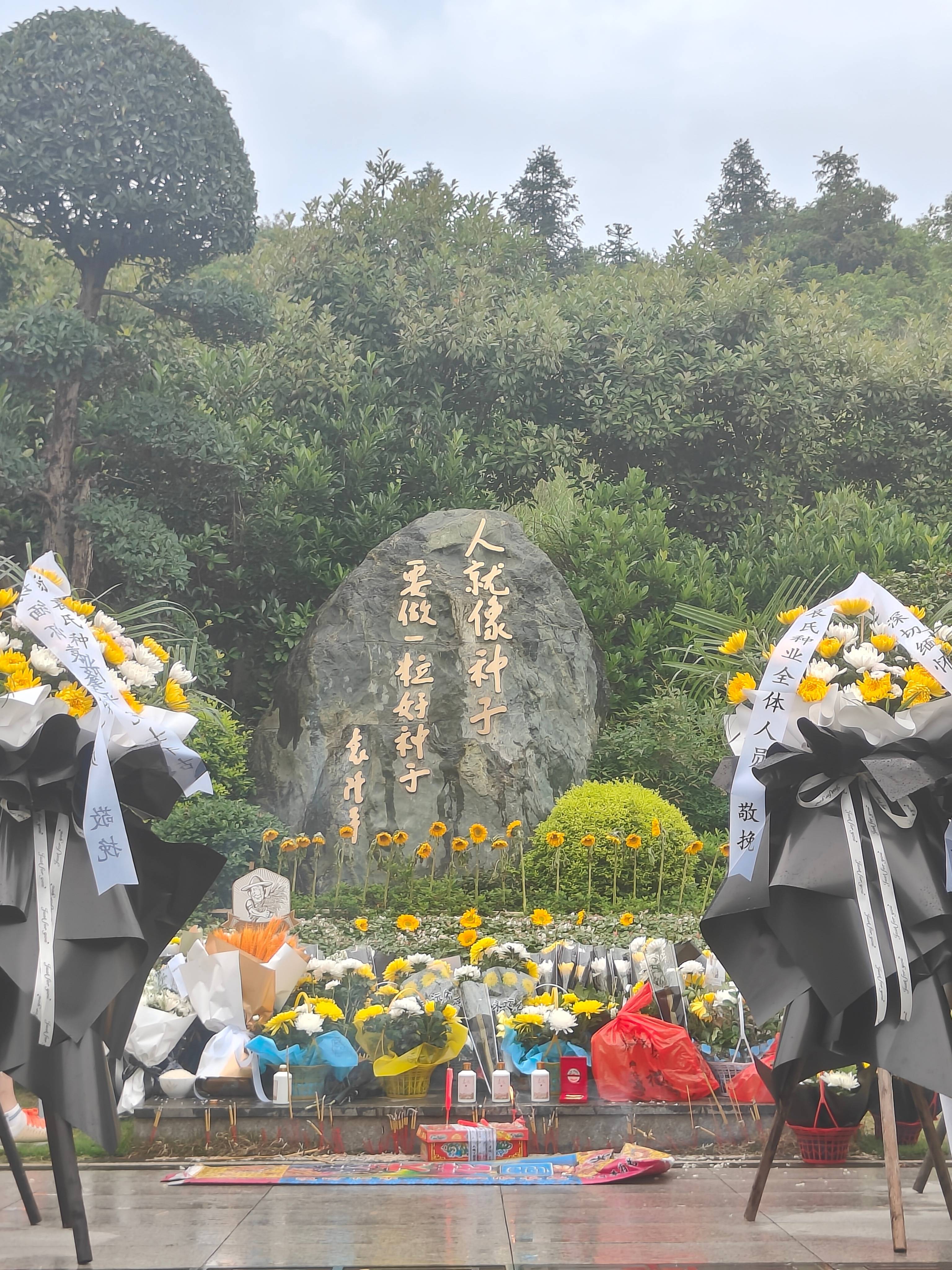 袁隆平夫人墓园祭扫