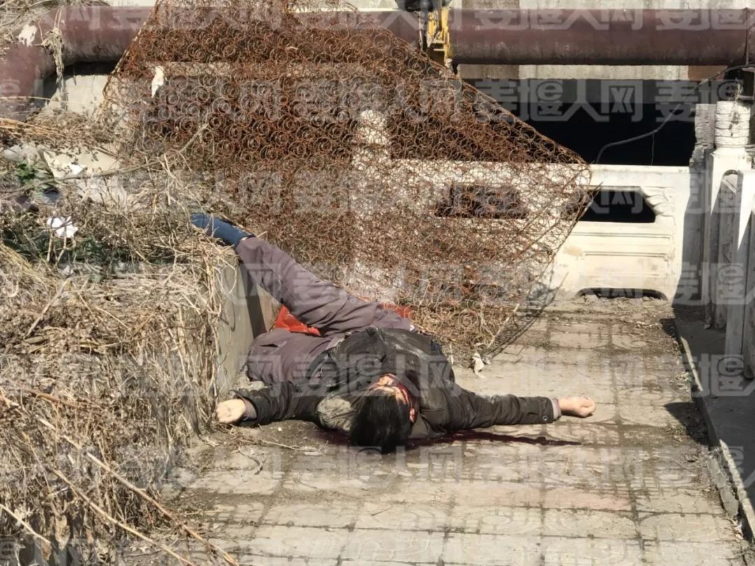 震惊！火车顶惊现流血男尸，真相扑朔迷离！