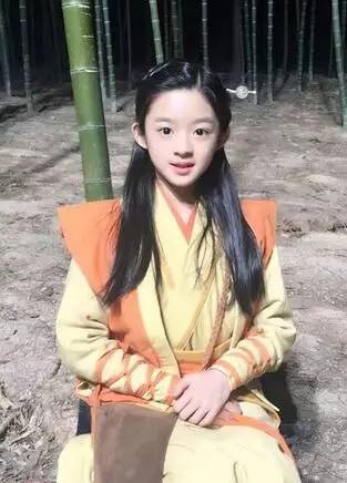 震惊！黄杨钿甜父亲涉7亿项目未招商成功，背后真相令人深思！