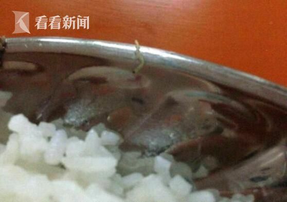震惊！学校食堂绞肉机发现活蛆 官方通报引热议！食品安全再敲警钟！