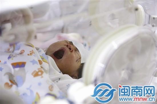 震惊！奇迹宝宝亲属反目背后隐藏的家族恩怨大揭秘