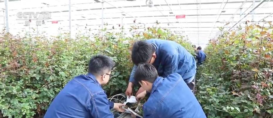 【重磅揭秘】特色产业创新发展蝶变成“金招牌”背后的财富密码！