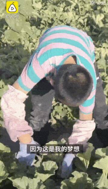 🎉11岁小男孩展示超熟练包粽子！看这位"小厨神"如何惊艳全网🔥